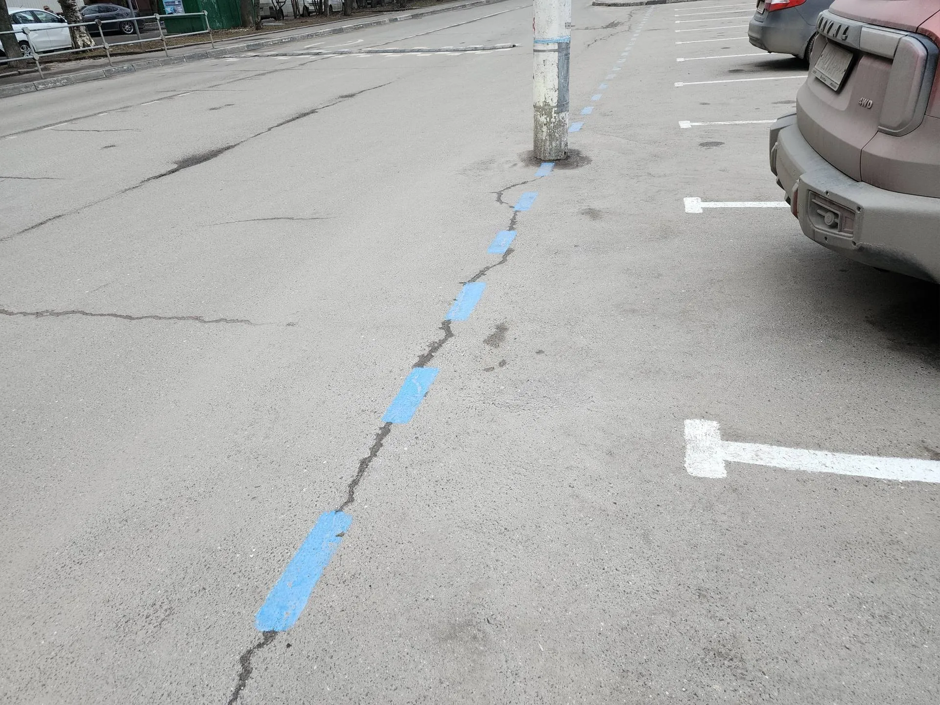 Фото: МедиаБанк Подмосковья/Михаил Раскин