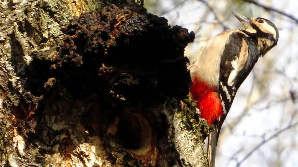 Фото: Андрей Снегерев