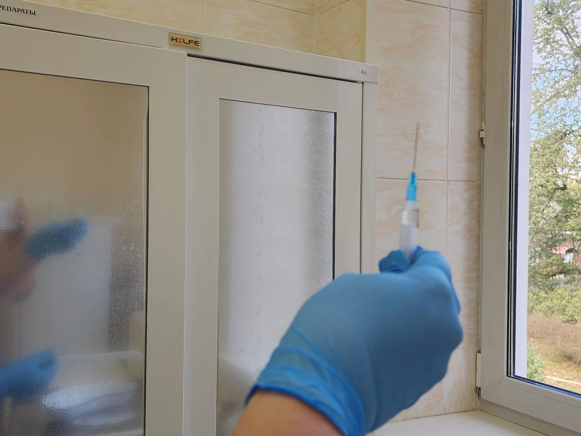 Светлана Борщева