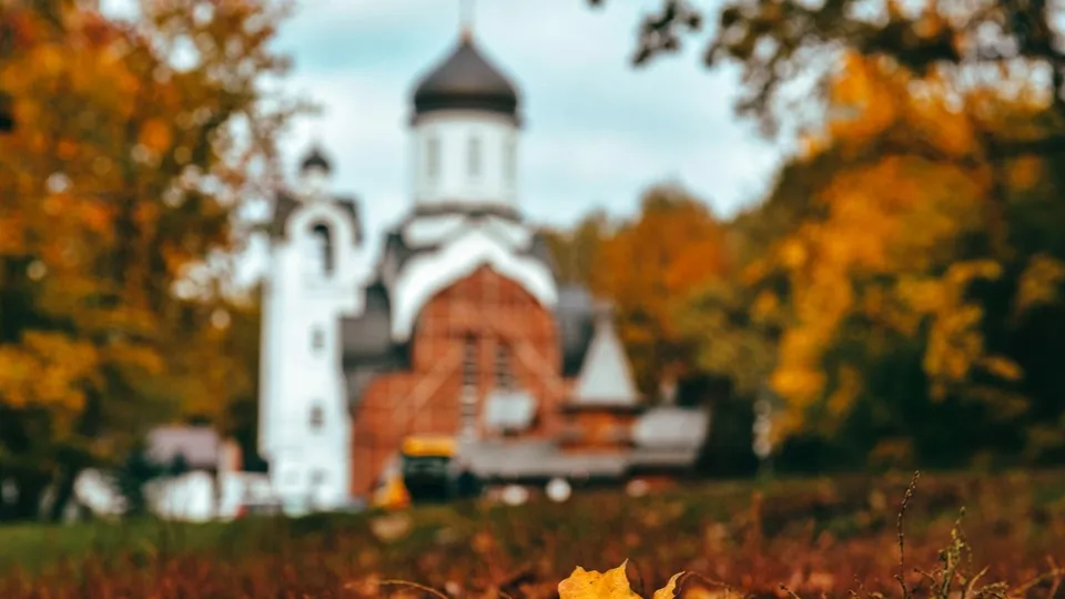 Фото: пресс-служба Администрации г.о. Химки