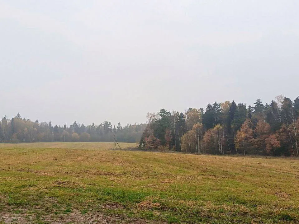 Фото: поисковый отряд «КитежЪ»