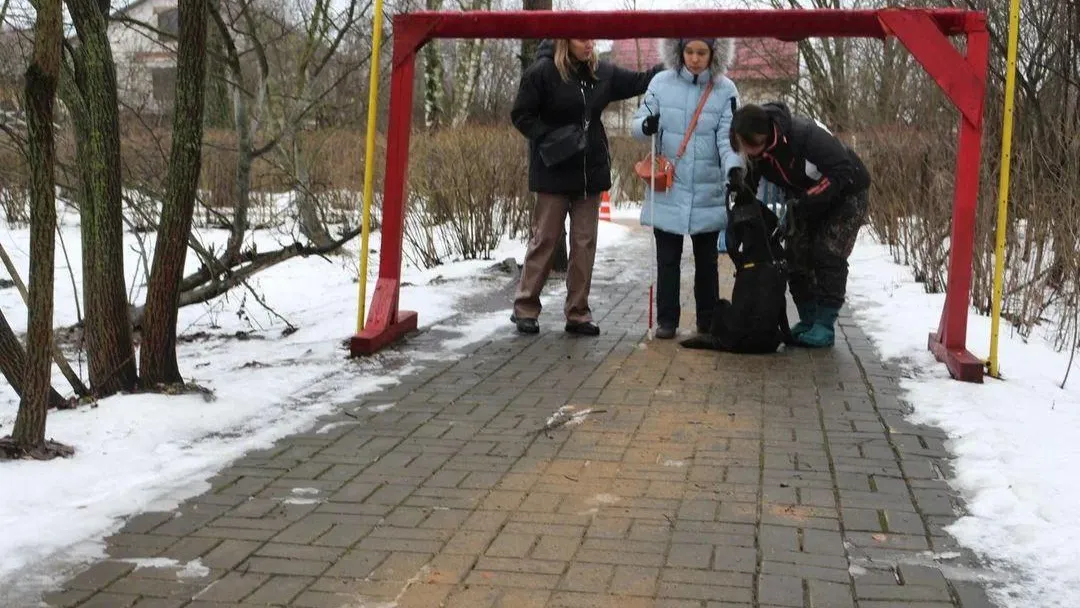 Фото: ГБСУСО МО «Семейный центр имени А. И. Мещерякова»