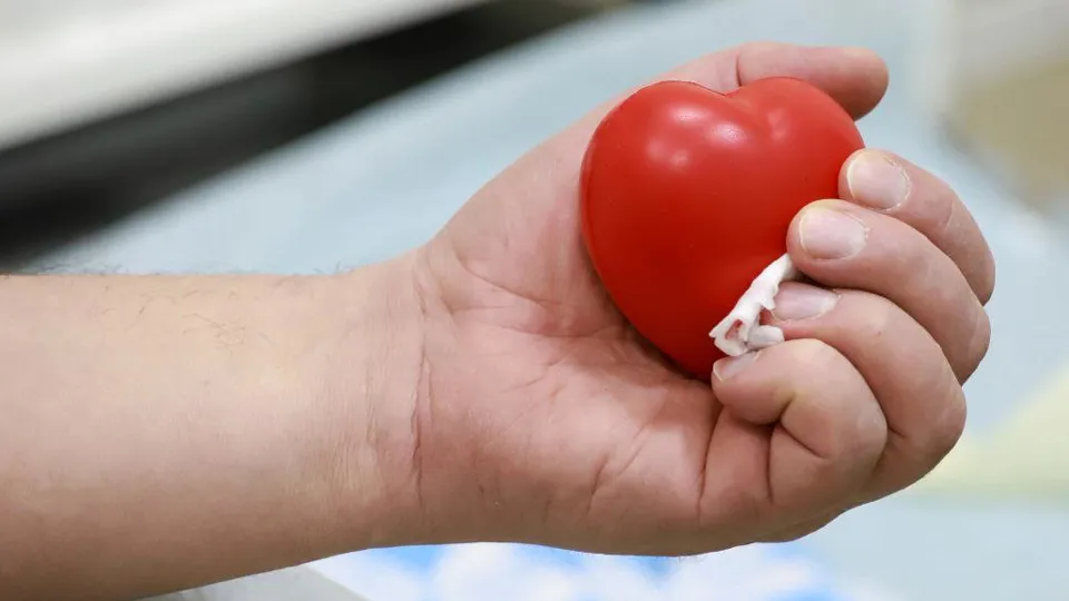 Фото: МедиаБанк Подмосковья/Максим Лысов