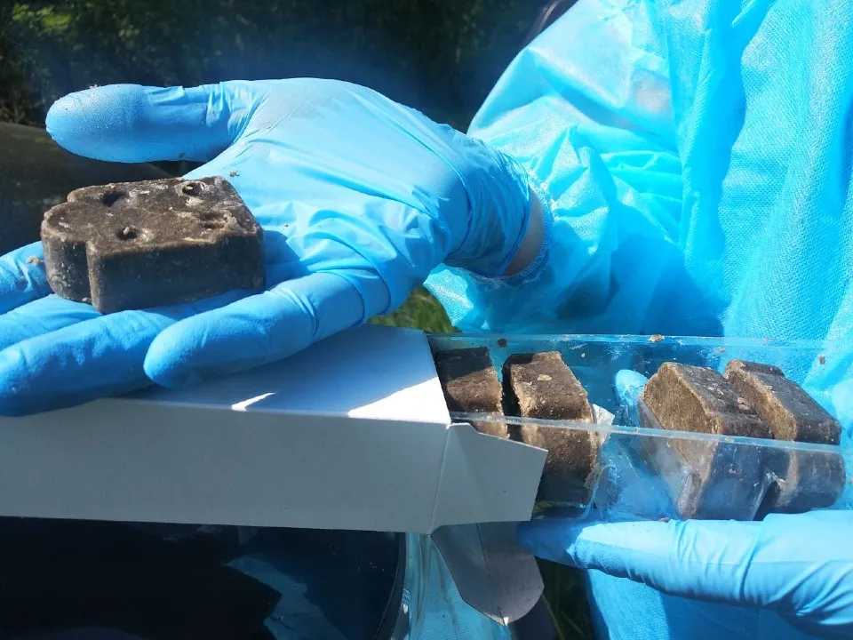 Фото: МедиаБанк Подмосковья/Евгений Рой