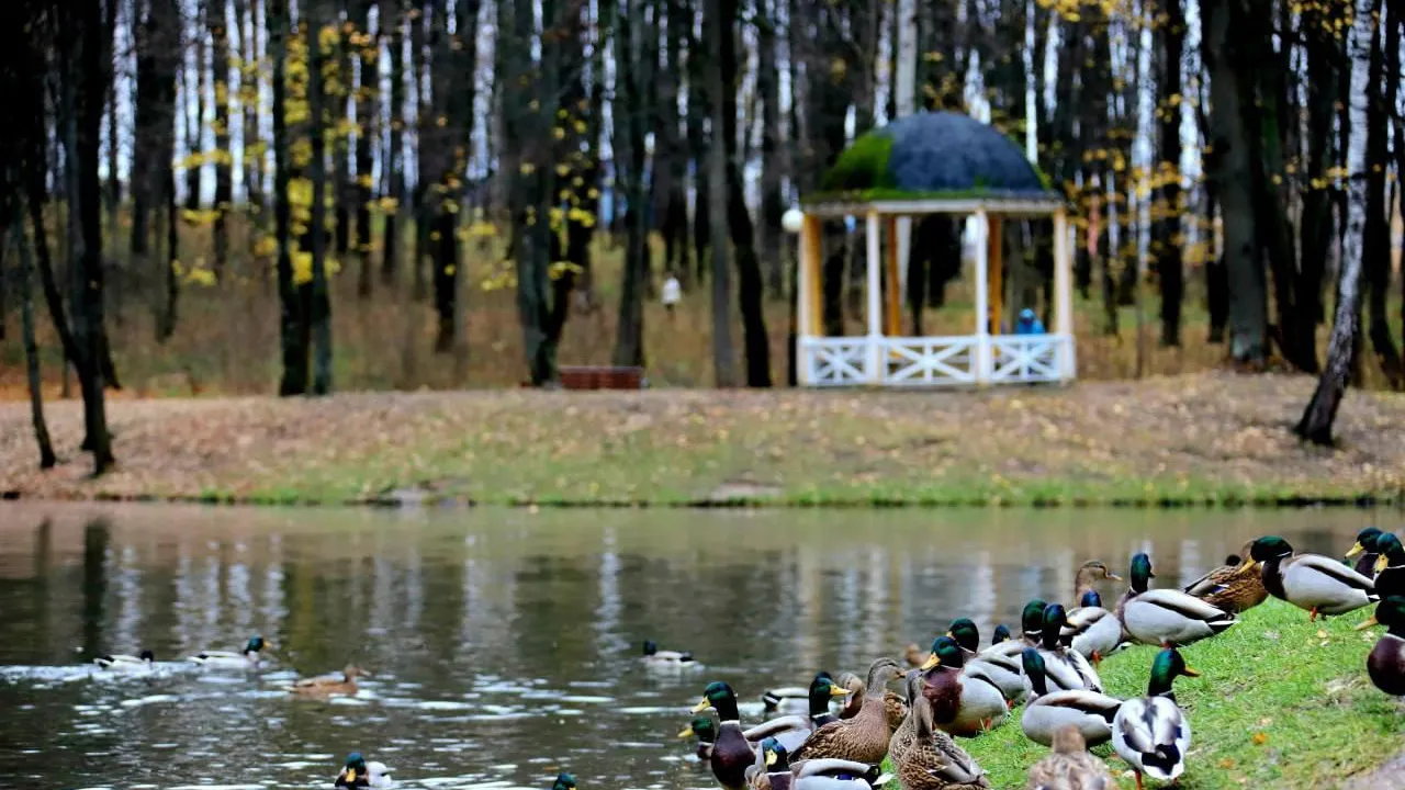 Фото: Максим Прокофьев