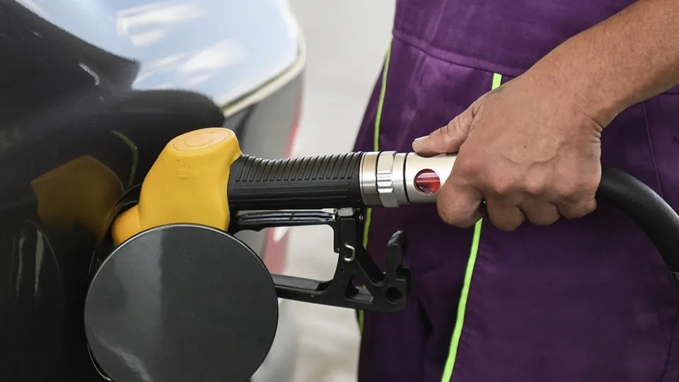 Фото: РИА Новости/Константин Михальчевский