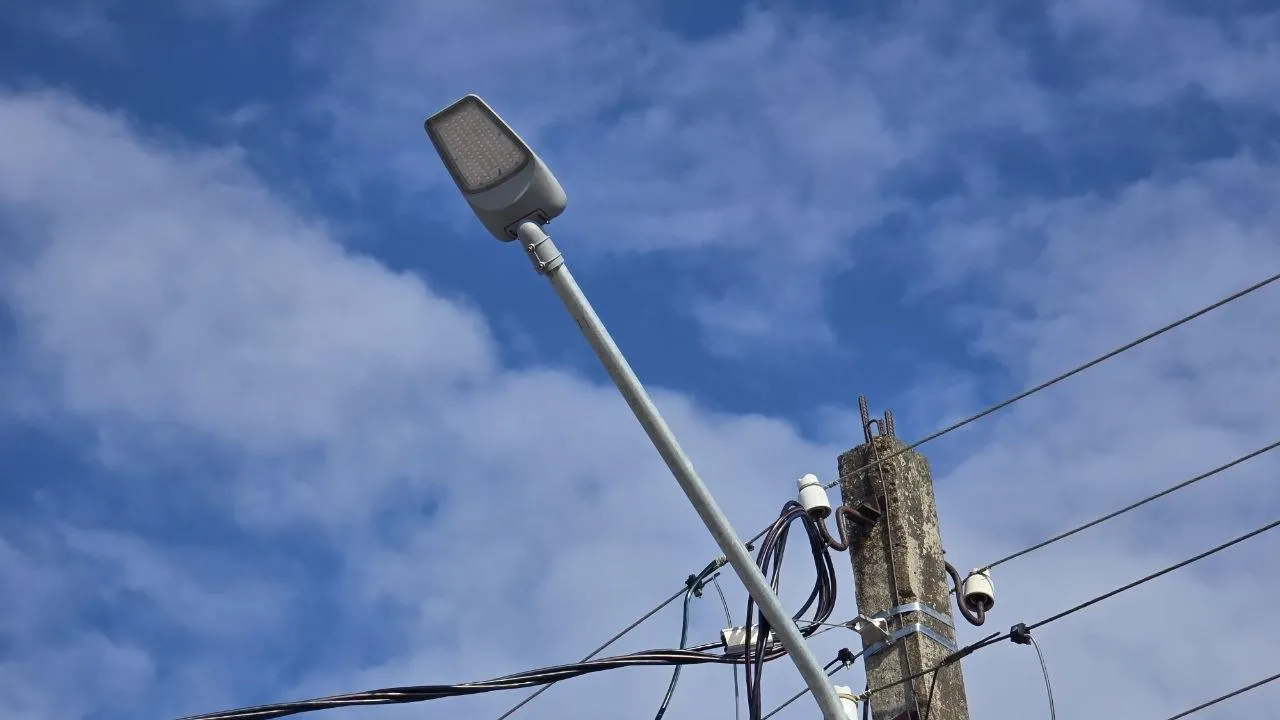 REGIONS/Яна Шаливская