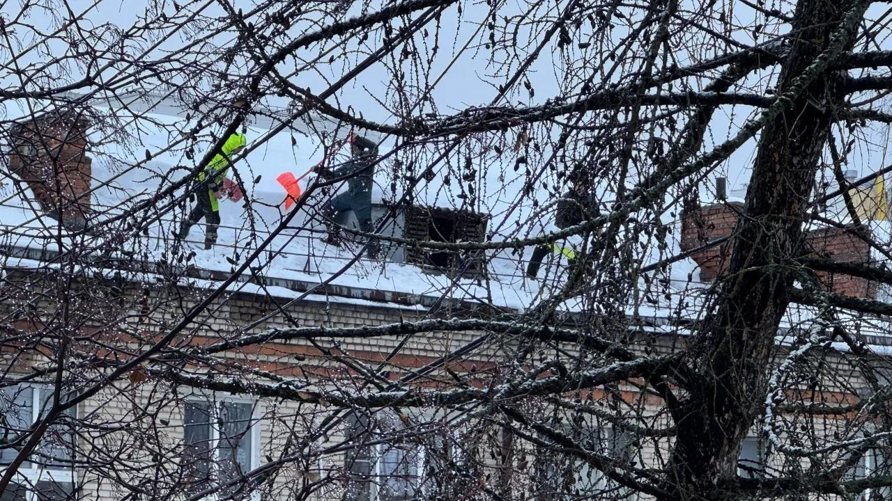 Виктоия фортуна