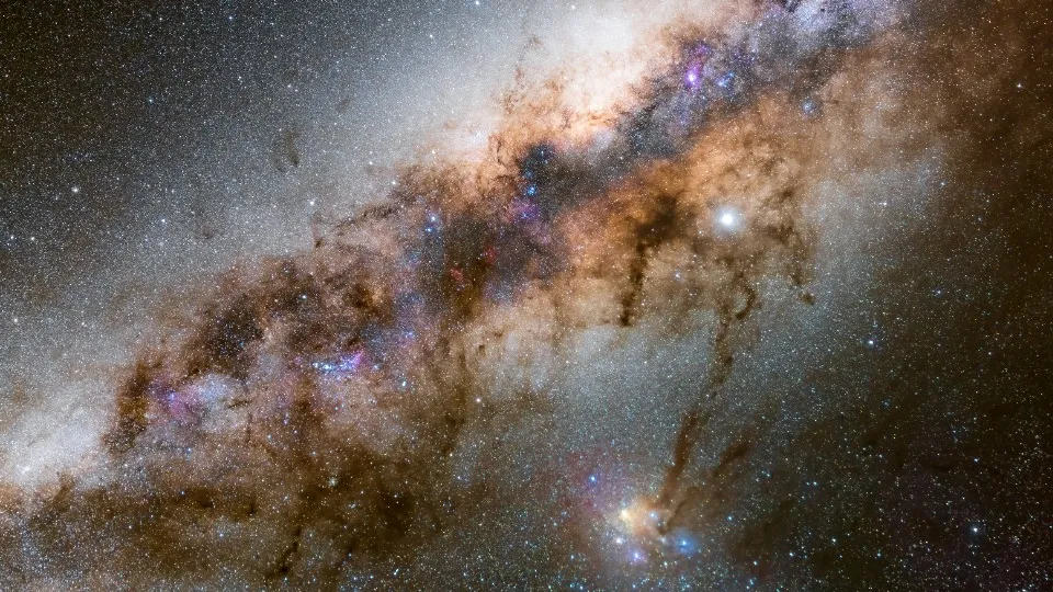 Фото: freepik.com