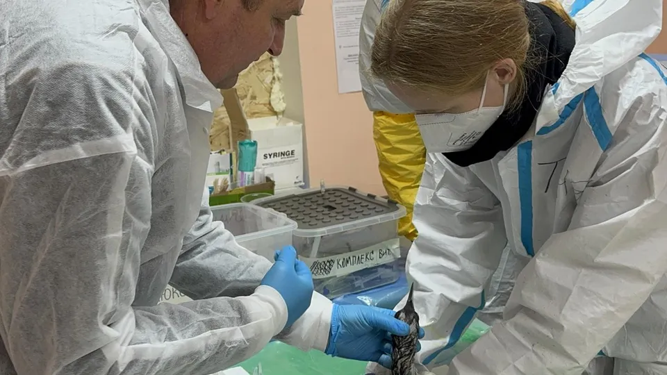 Фото: Алексей Петришин