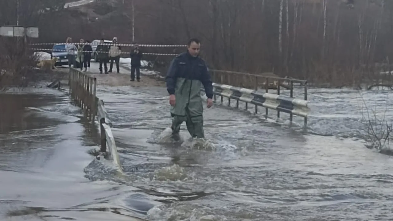 Фото: пресс-служба администрации Рузского г.о.