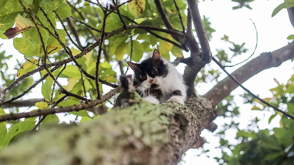 Фото: istockphoto.com