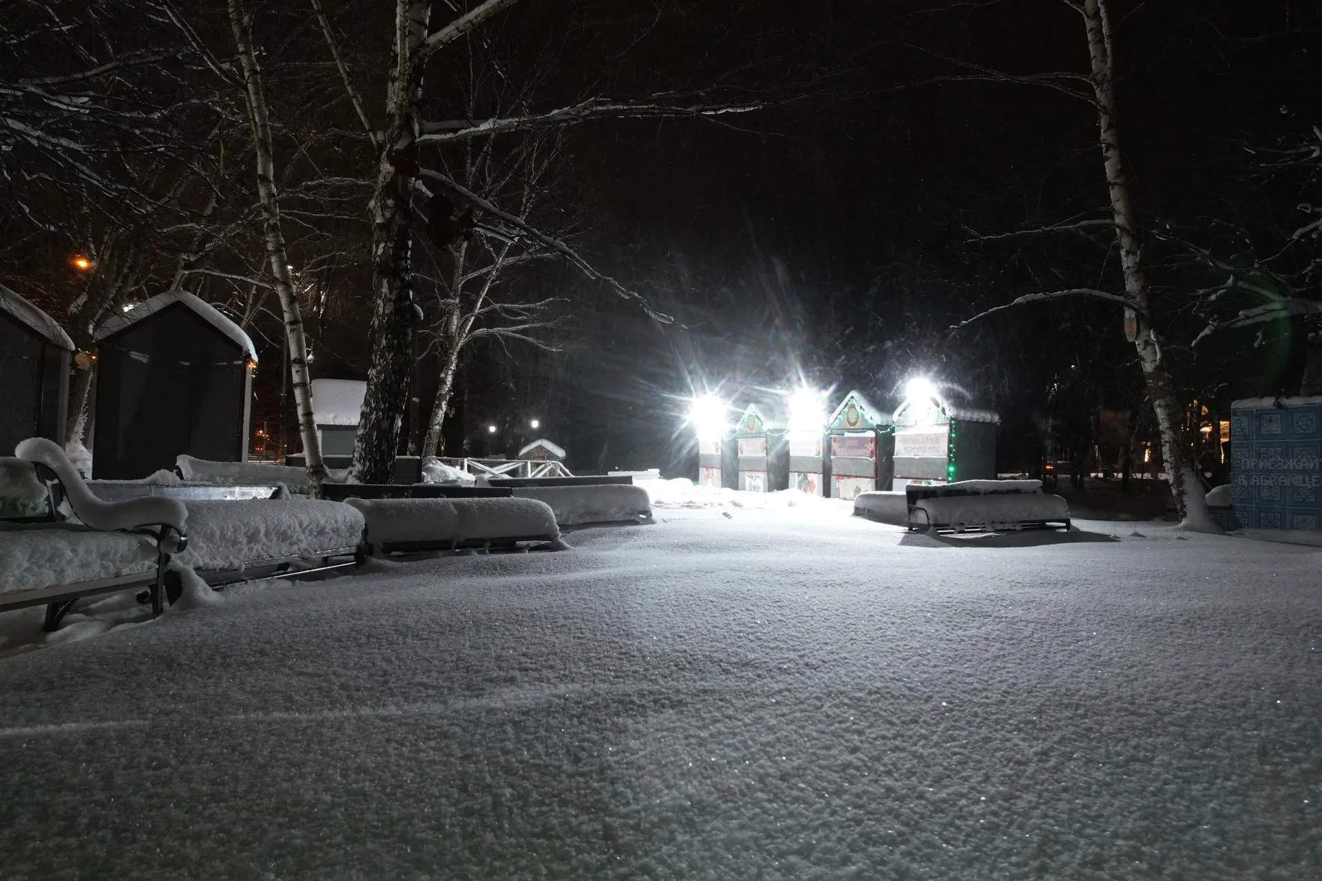 Фото: Дарья Московцева