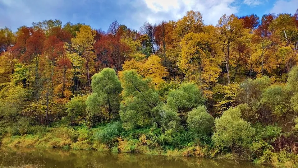Фото: REGIONS/Алексей Селиверстов