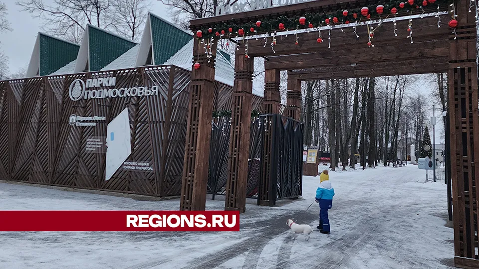 Фото: REGIONS/Александр Степушкин