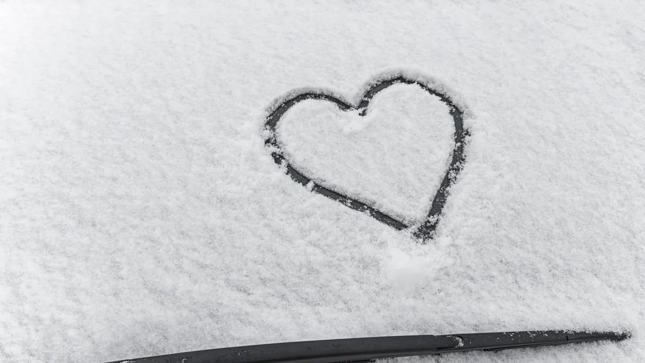 «Запасаемся лопатами»: первый снегопад в Балашихе запустил волну романтичных флешмобов