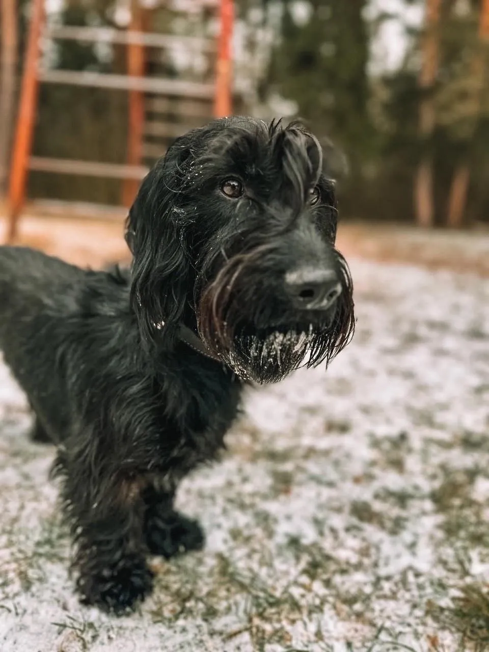 Фото: Подслушано на Глебовке (новая) / ВКонтакте