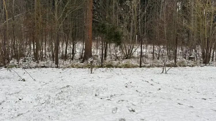 Единый портал торгов Московской области ЕАСУЗ