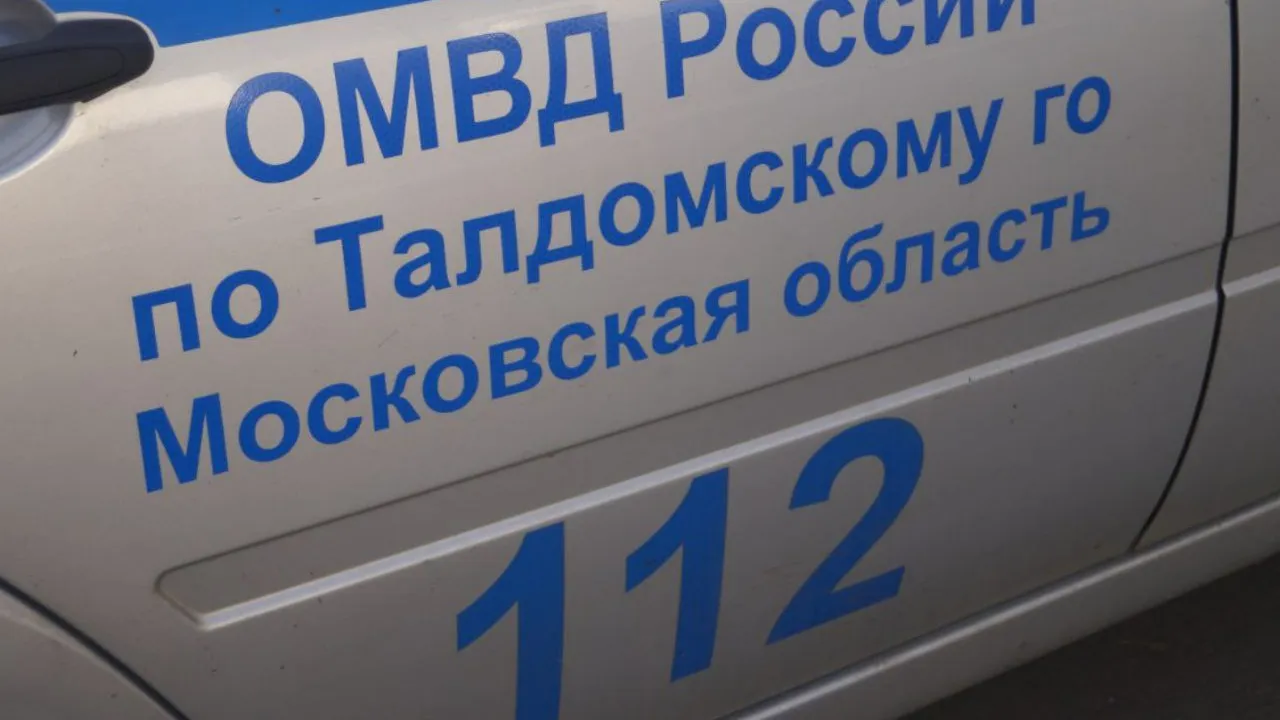 Фото: ОМВД России по Талдомскому городскому округу