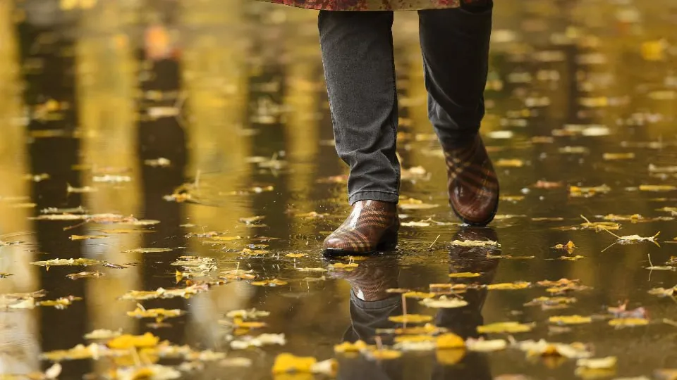 Фото: медиасток.рф