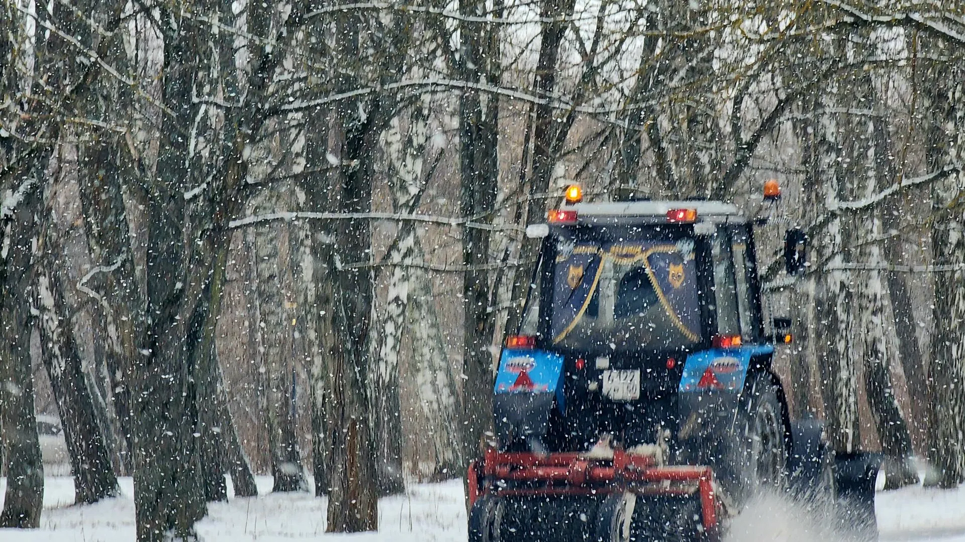 Фото: Мария Панина