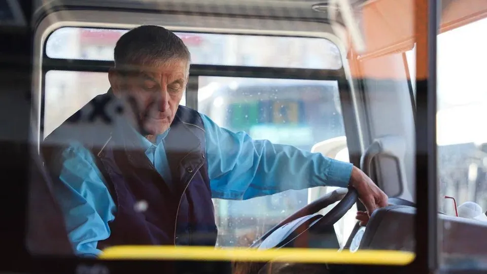 Фото: пресс-служба Администрации г. о. Домодедово