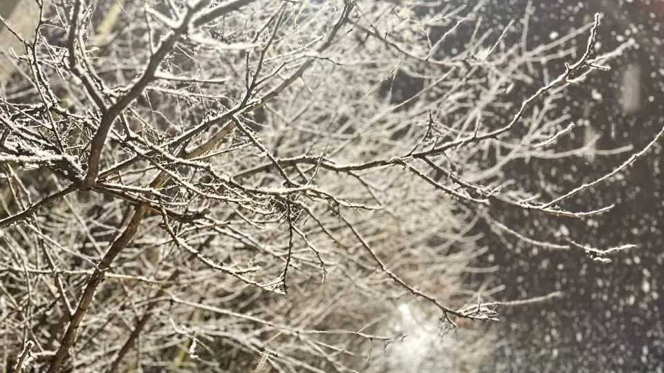 Фото: REGIONS/Евгения Макаренко