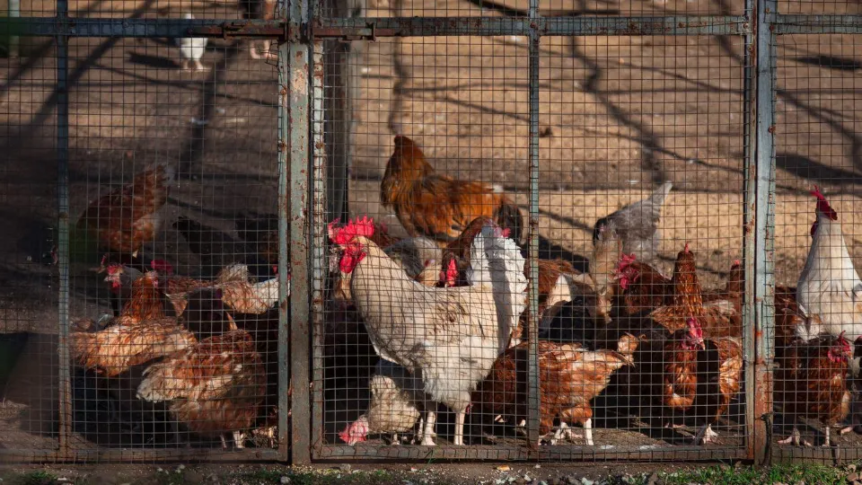 Фото: медиасток.рф