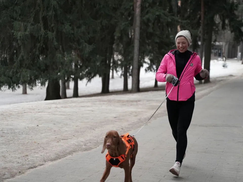 Фото: Министерство благоустройства Московской области