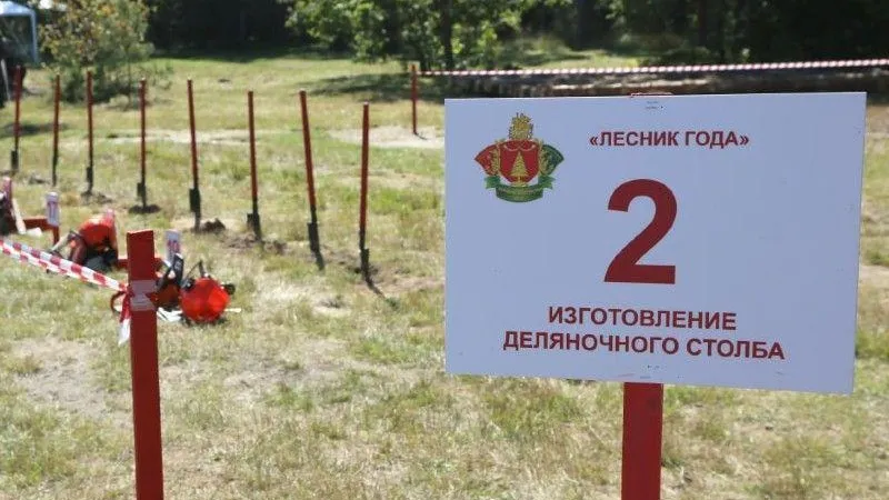 Лучшего лесника определят в Подмосковье