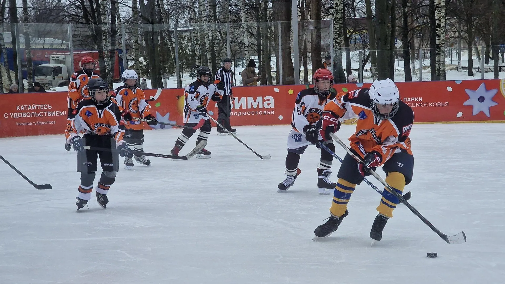 REGIONS/Ольга Шаронова