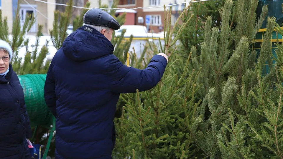 Фото: пресс-служба администрации г.о. Долгопрудный
