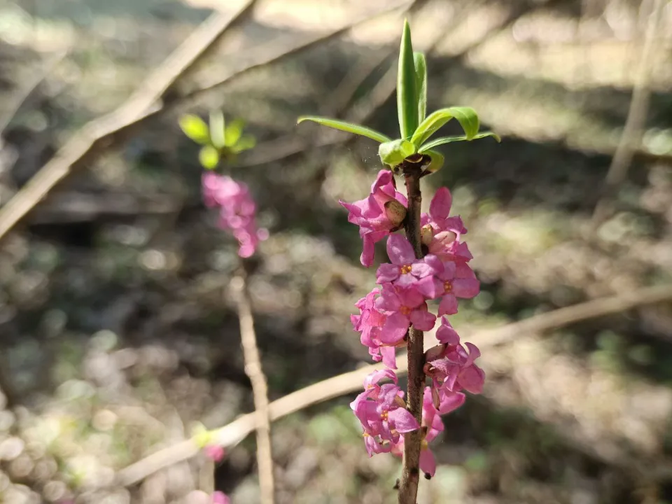 Фото: Людмила Никитина