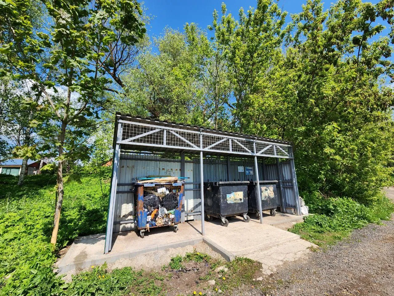 Фото: Яна Шаливская