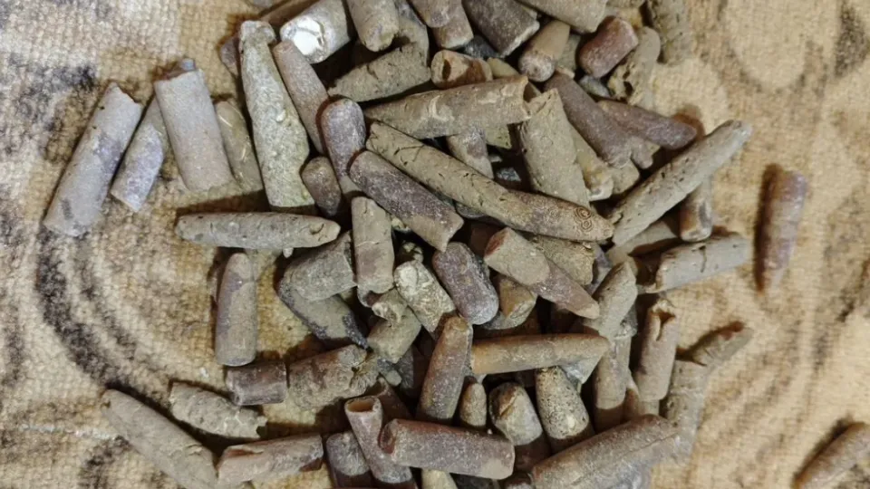 Фото: городская доска объявлений