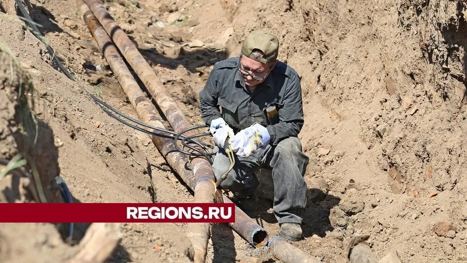 Фото: REGIONS/Александр Дрожжин