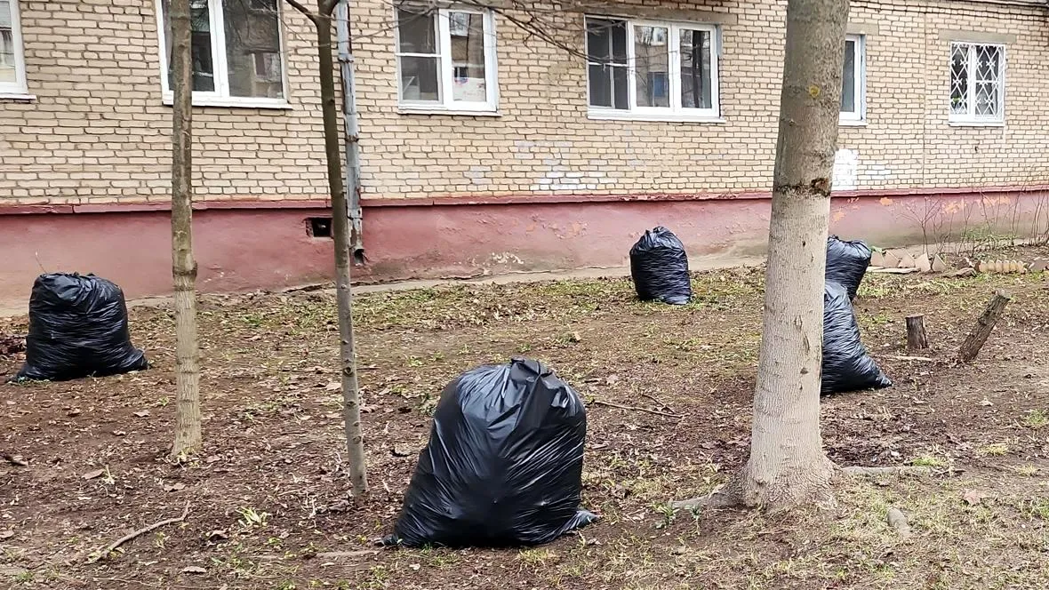 Фото: Нина Басистая