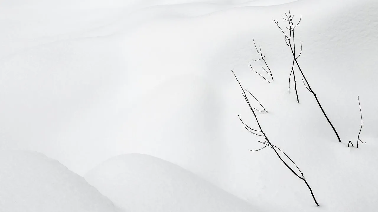 Unsplash