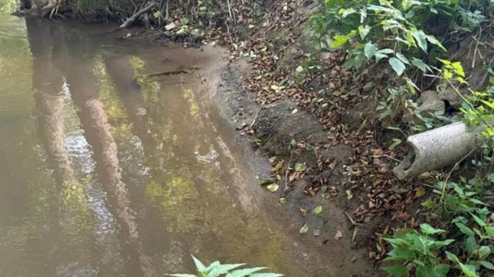 Фото: Министерство экологии и природопользования МО