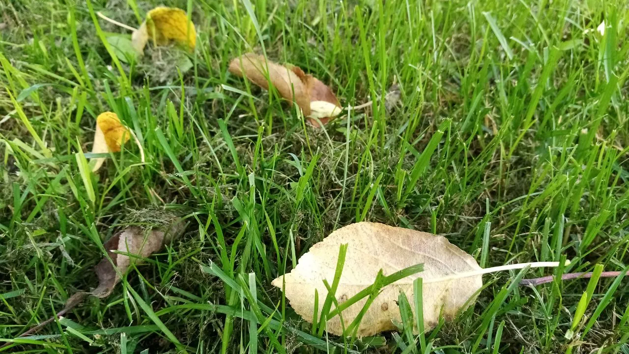 Фото: REGIONS/Василий Тремасов