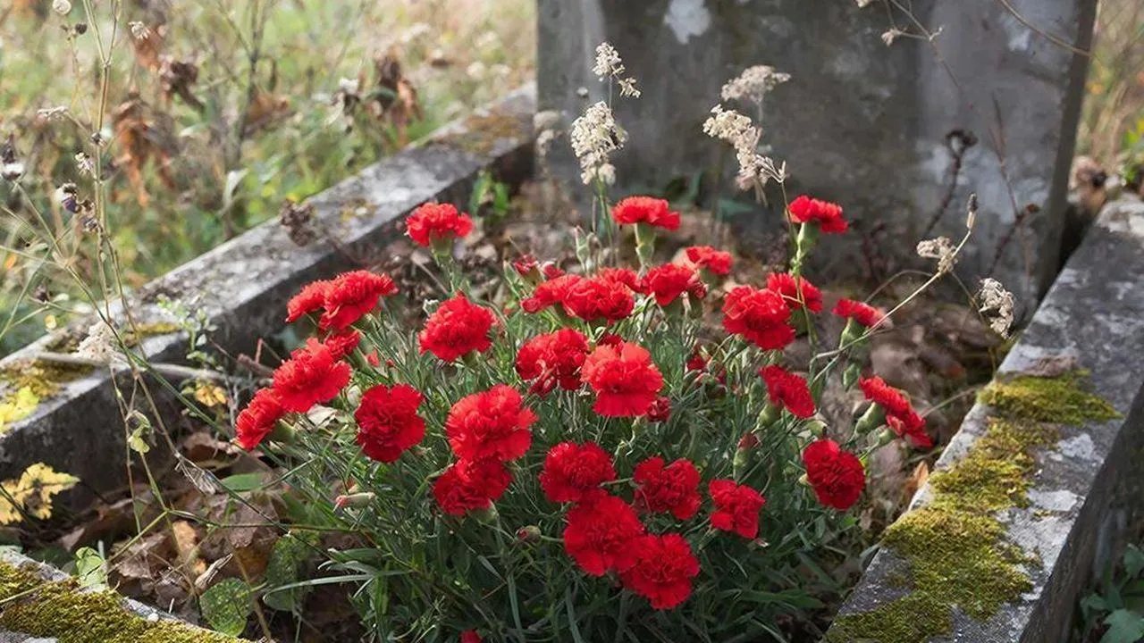 REGIONS/Сгенерировано нейросетью