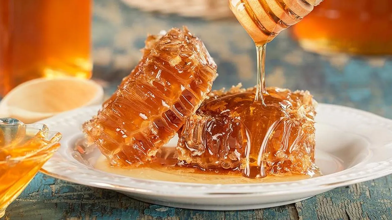 Фото: istockphoto.com/mars58