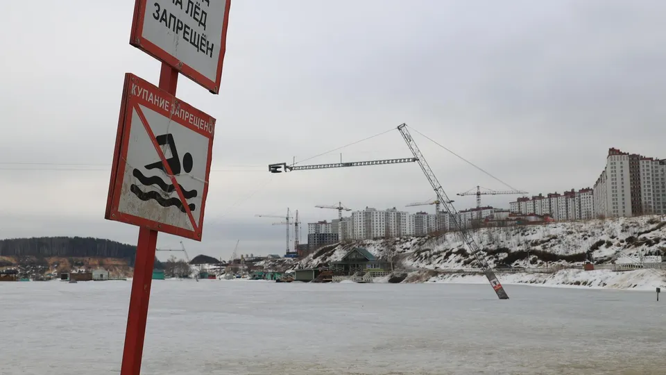 Фото: Алексей Грызлов