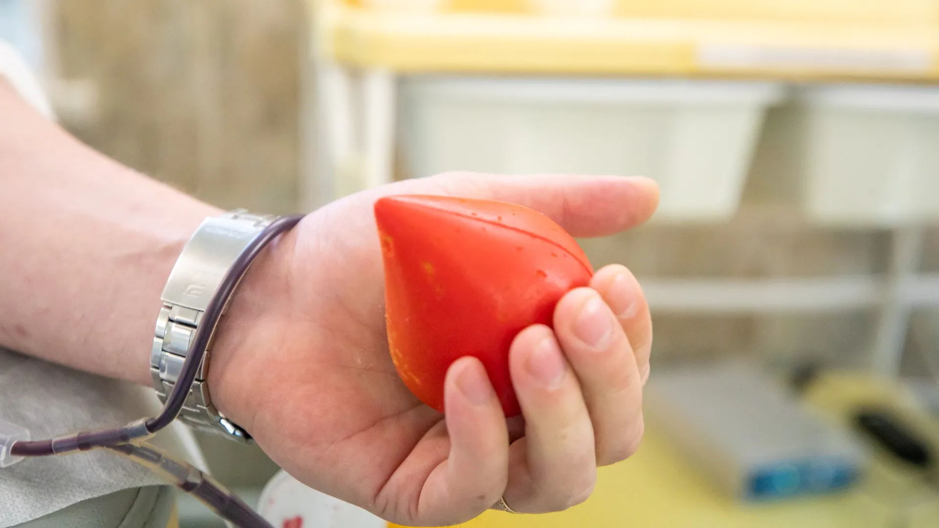 Фото: телевидение "Аист"