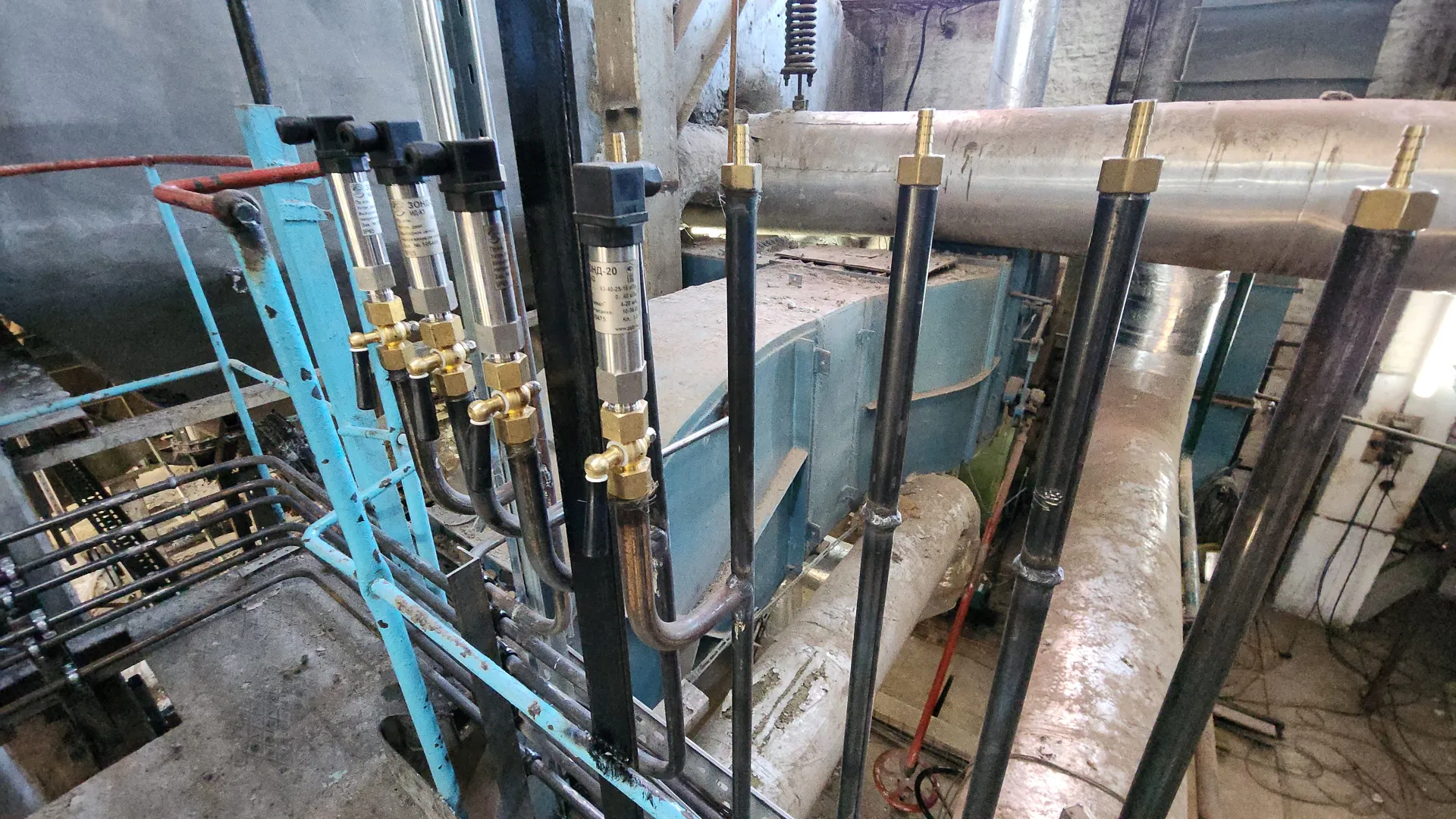 Фото: МедиаБанк Подмосковья/Нина Басистая