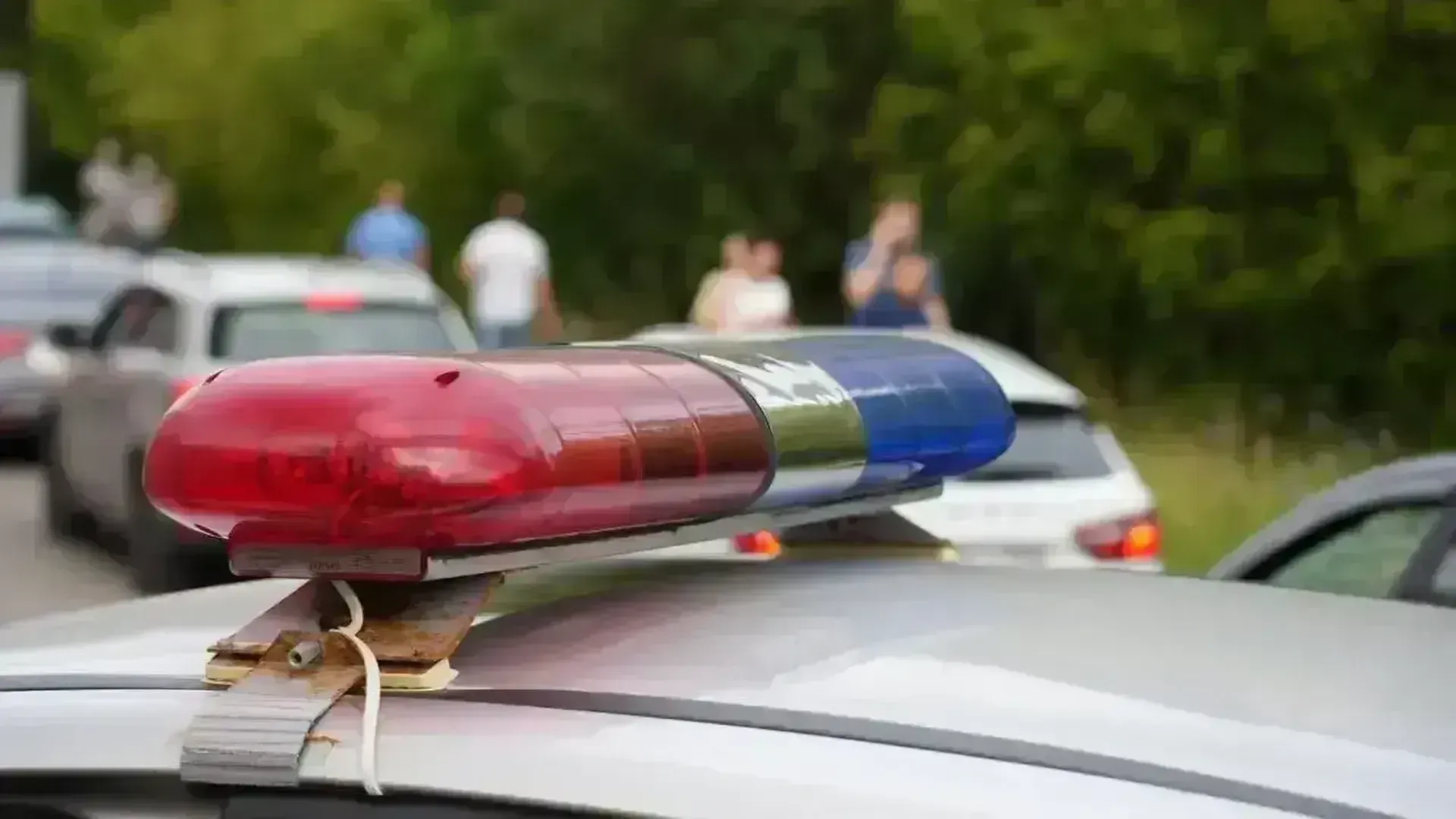 Источник: Дмитрий Зайчиков