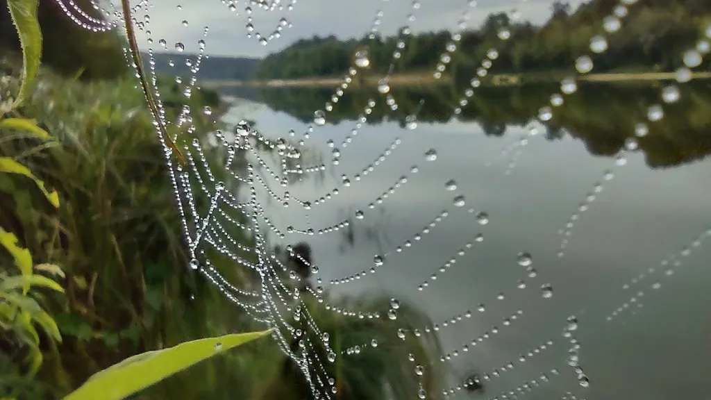 Фото: REGIONS/Алексей Селиверстов
