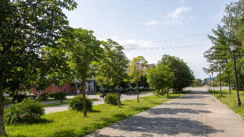 Фото: медиасток.рф