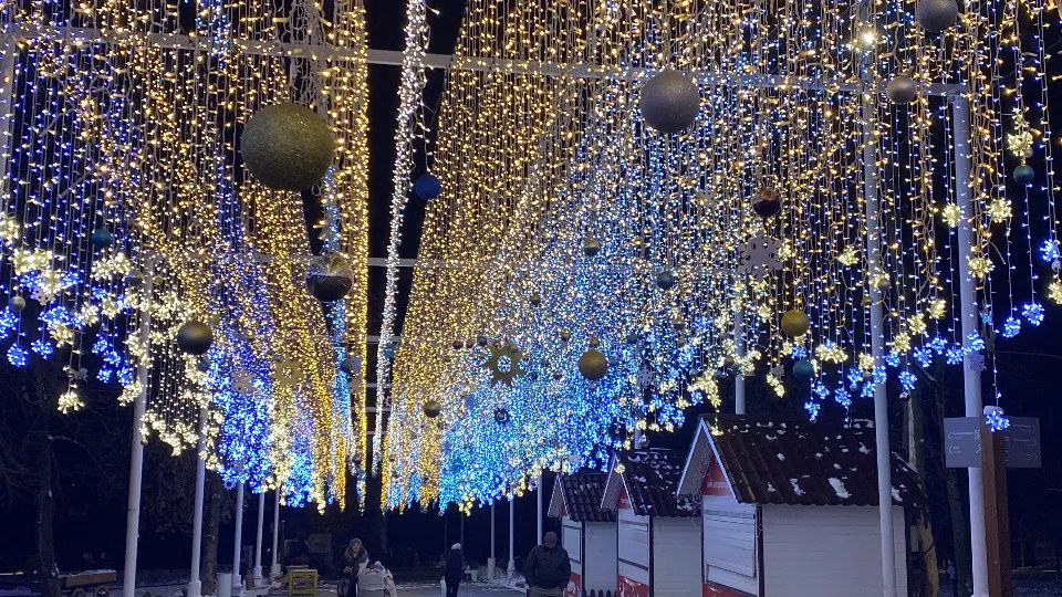 Фото: МедиаБанк Подмосковья/Екатерина Морозова