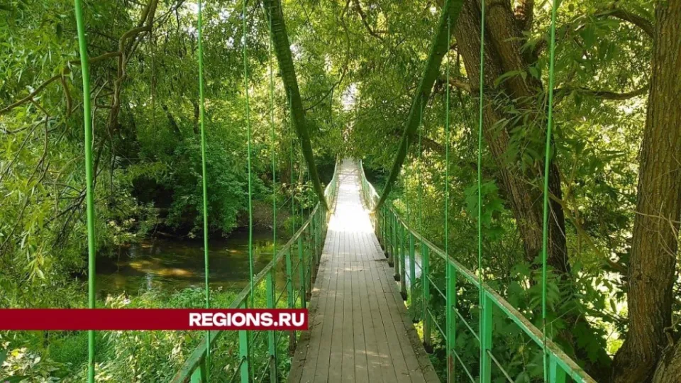 Константиновский мост до обрушения. Фото: Елена Григорьева